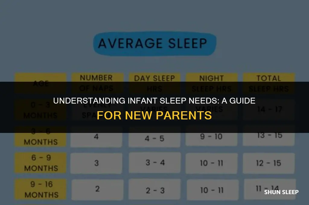 how many hours a day should 1 minth old sleep