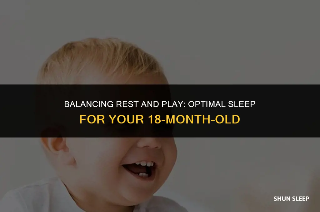 how many hours a day should 18 month old sleep