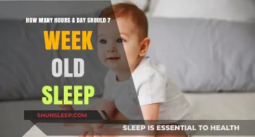 Understanding Infant Sleep Needs: A Guide for New Parents