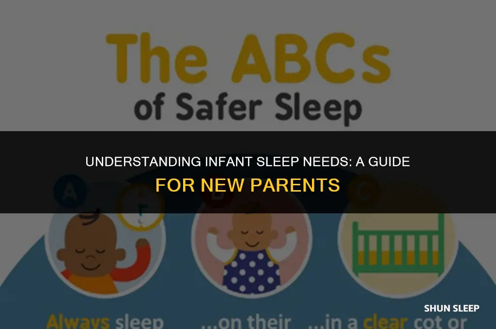 how many hours a day should an infant sleep