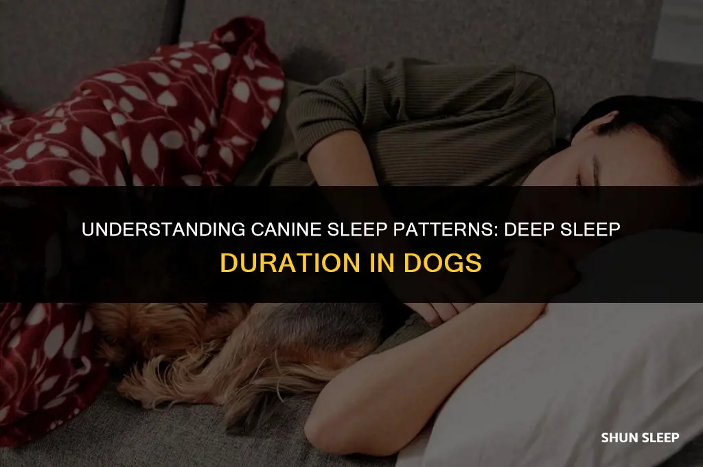 how many hours a dog has deep sleep