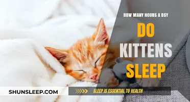 Understanding Kitten Sleep Patterns: A Guide for New Pet Owners