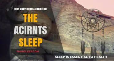 Unveiling the Secrets of Ancient Slumber: A Night in the Life