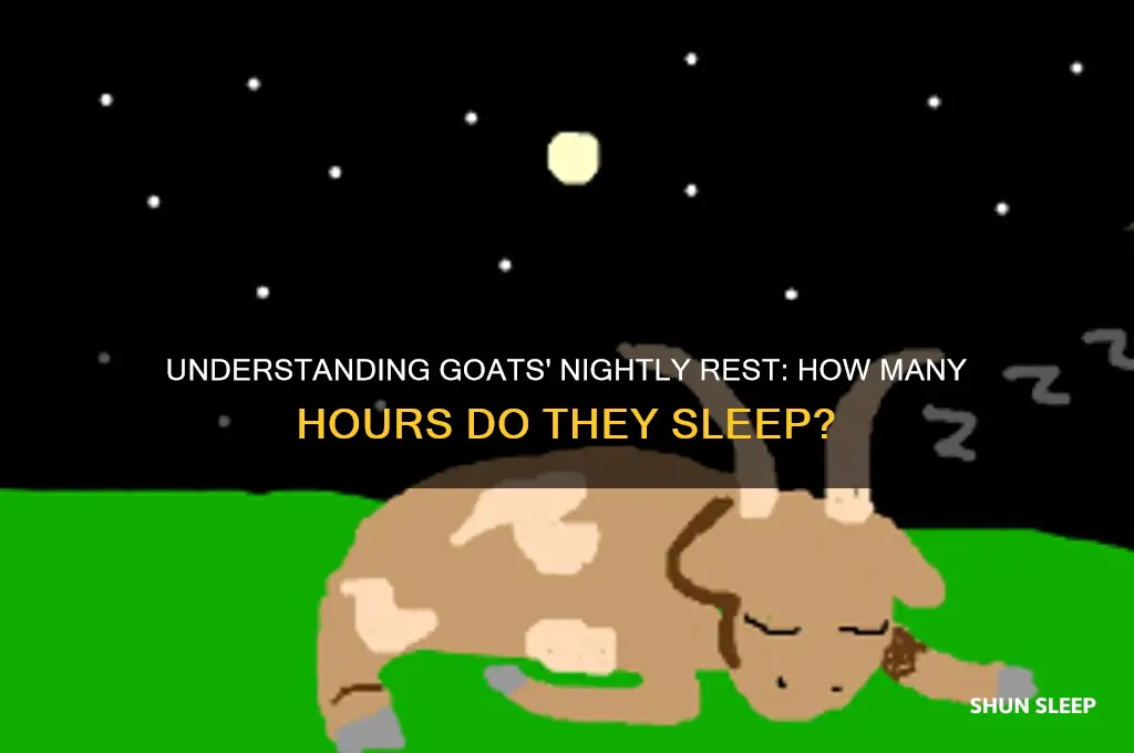 how many hours a night do goats sleep