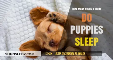 Understanding Puppy Sleep Patterns: How Many Hours Do They Need?