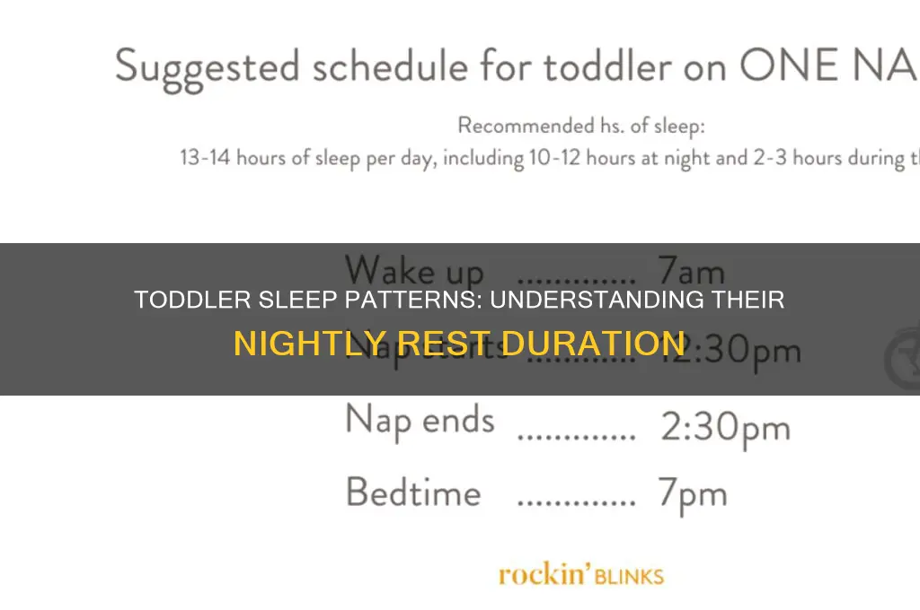 how many hours a night do toddlers sleep