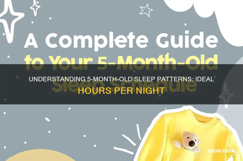 how many hours a night does a 5 month sleep