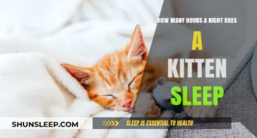 Understanding Kitten Sleep Patterns: How Many Hours Do They Need?