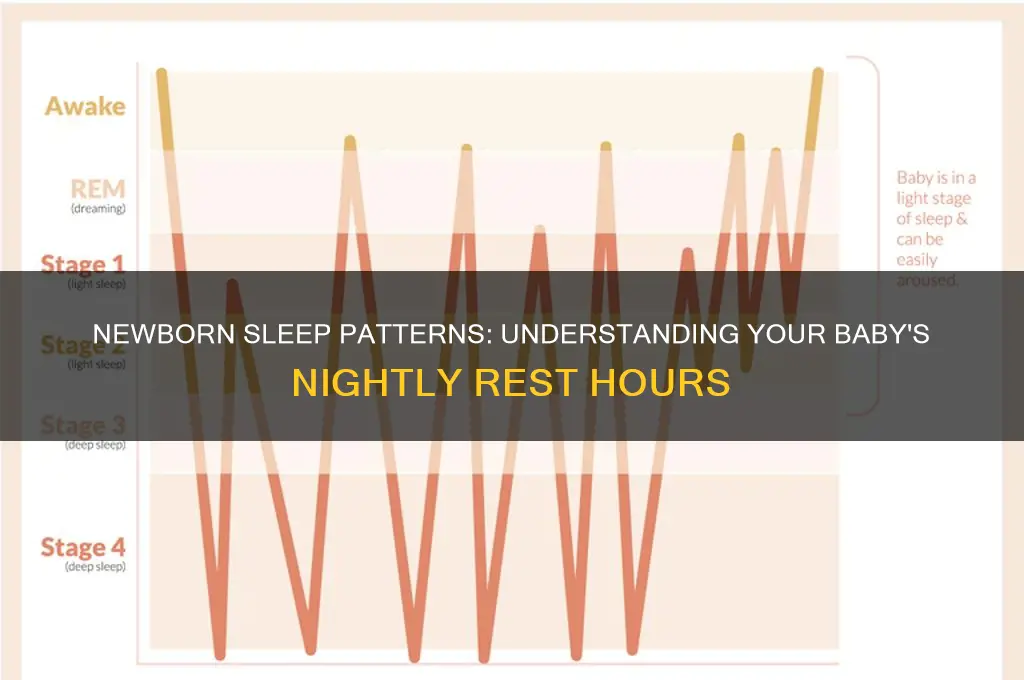 how many hours a night does a newborn sleep