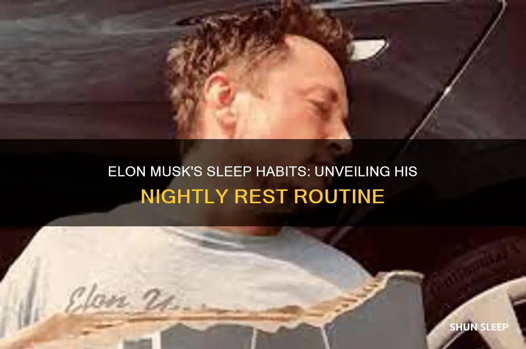 how many hours a night does elon musk sleep