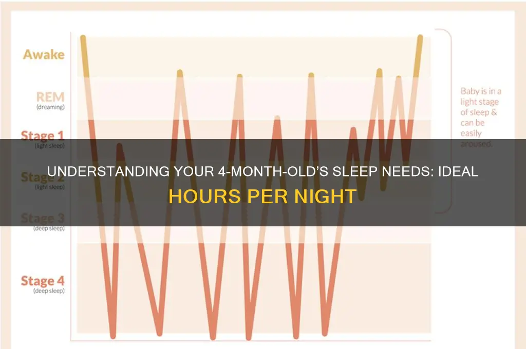how many hours a night should 4 month old sleep