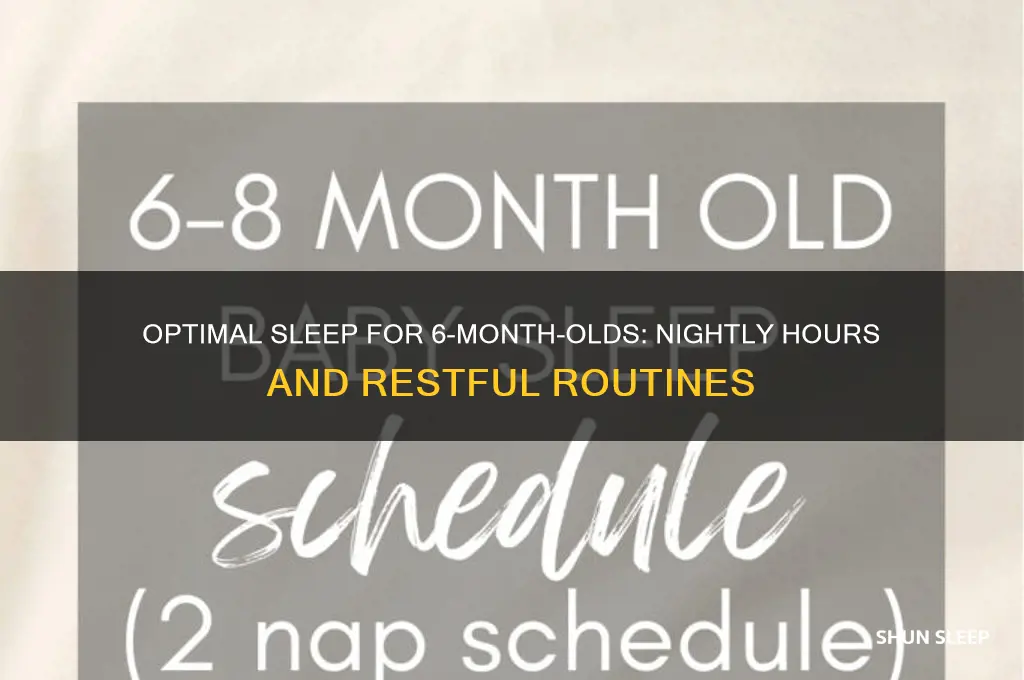 how many hours a night should 6 month old sleep