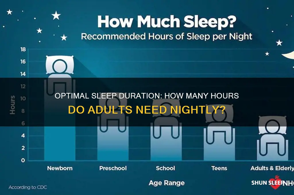 how many hours a night should adults sleep