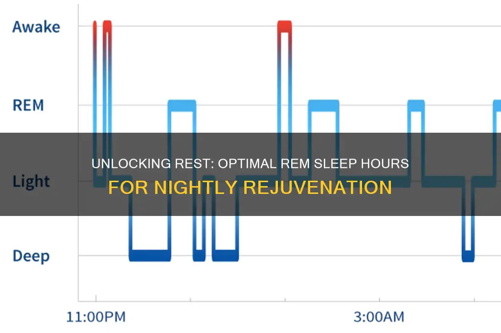 how many hours a night should you get rem sleep