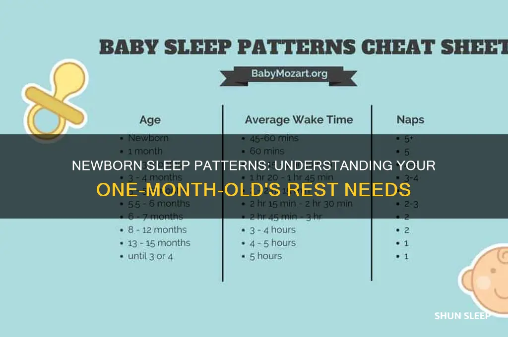 how many hours a one month baby should sleep