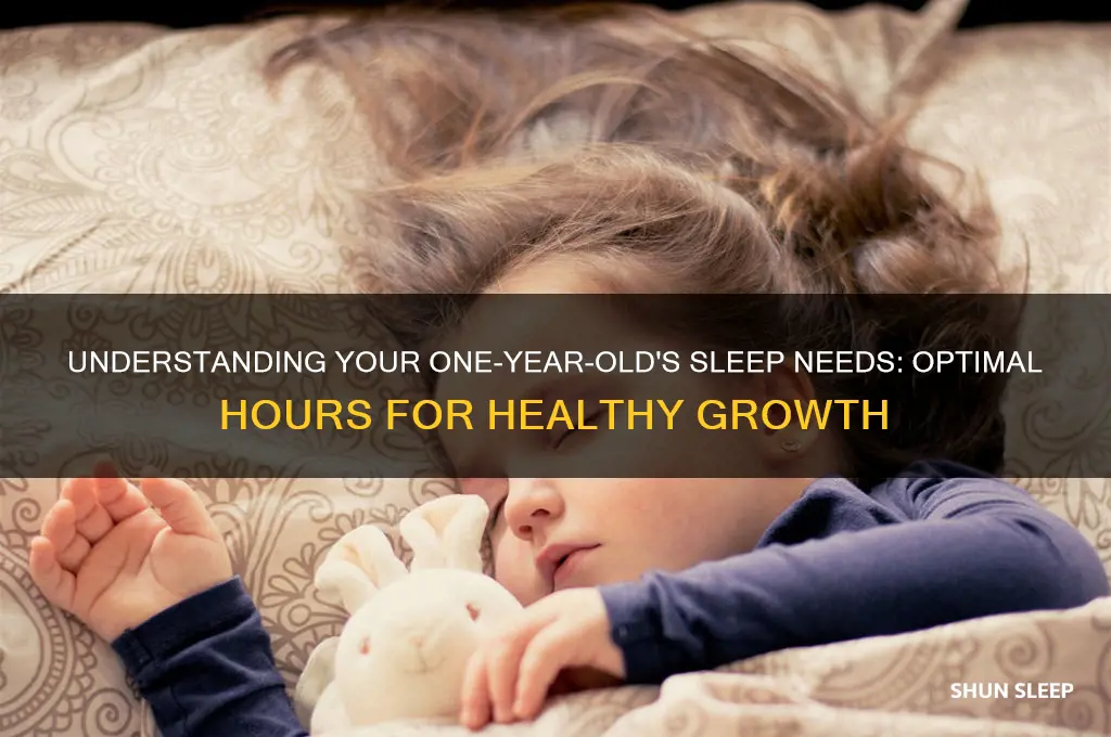 how many hours a one year old baby should sleep