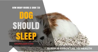 Shih Tzu Sleep Needs: Understanding Your Dog's Rest Requirements