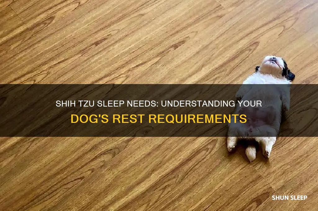how many hours a shih tzu dog should sleep