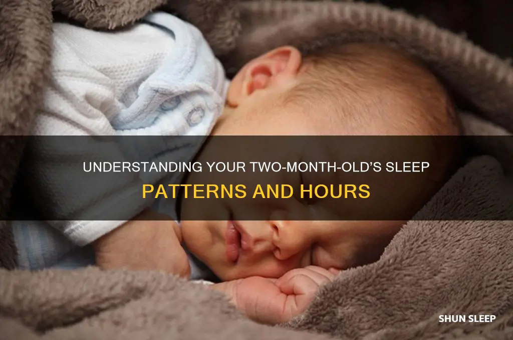 how many hours a two month baby sleep