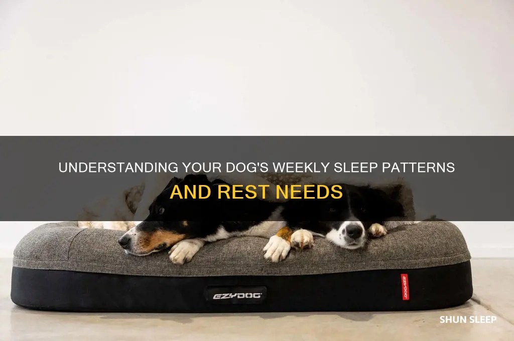 how many hours a week do dogs sleep