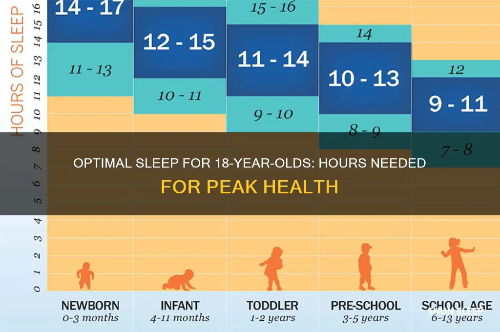 how many hours an 18 year old should spend sleeping