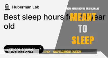 Optimal Sleep Duration: Unlocking the Ideal Hours for Human Rest
