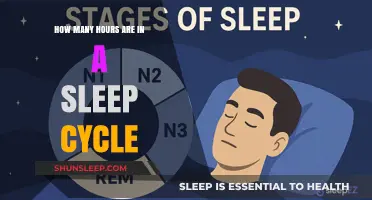 Understanding Sleep Cycles: How Many Hours Are Ideal for Rest?