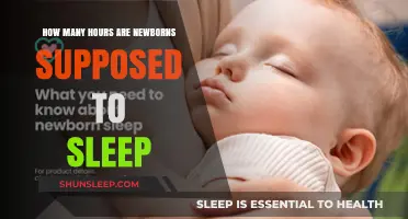 Understanding Newborn Sleep Patterns: A Guide for Parents