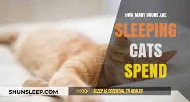 Understanding Cats' Sleep Patterns: How Many Hours Do They Rest?