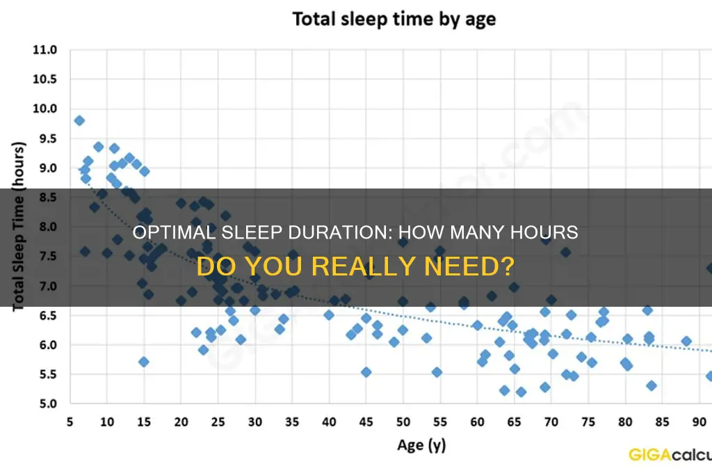how many hours are you allowed to sleep