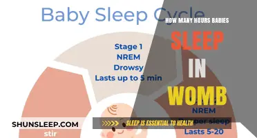 Understanding Your Baby's Sleep Patterns in the Womb: Hours and Cycles
