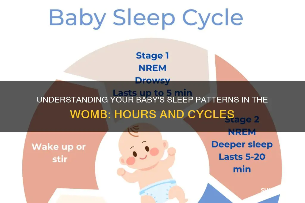 how many hours babies sleep in womb