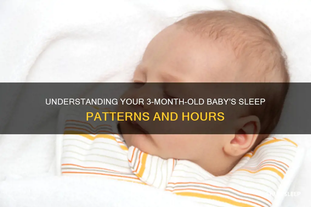 how many hours baby sleep 3 months