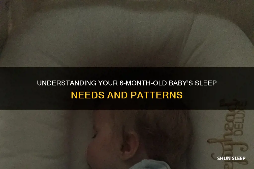 how many hours baby sleep 6 months