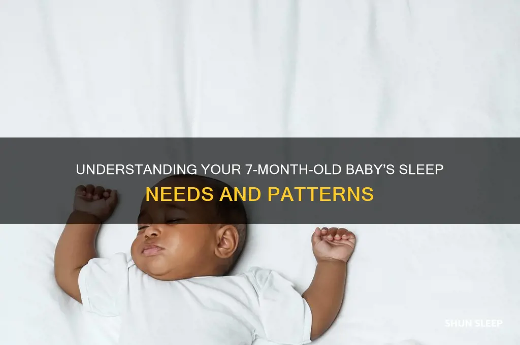 how many hours baby sleep 7 months
