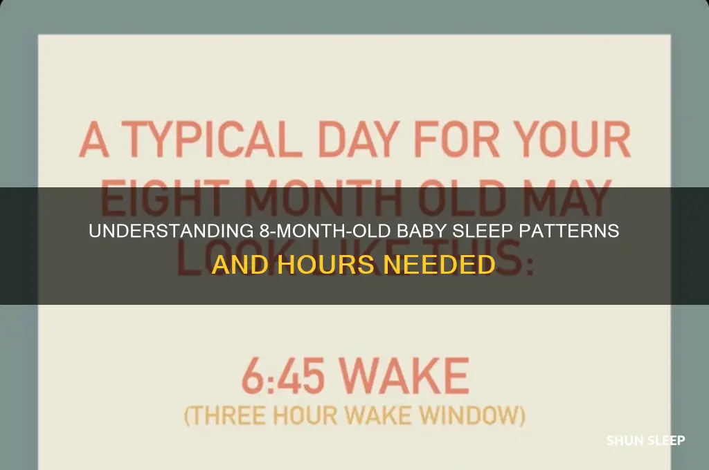 how many hours baby sleep 8 months