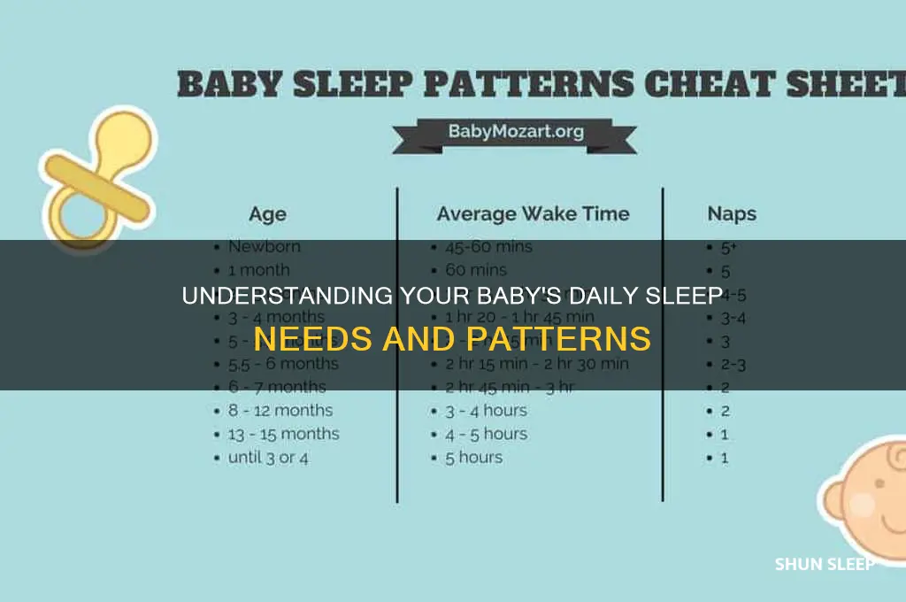 how many hours baby sleep a day