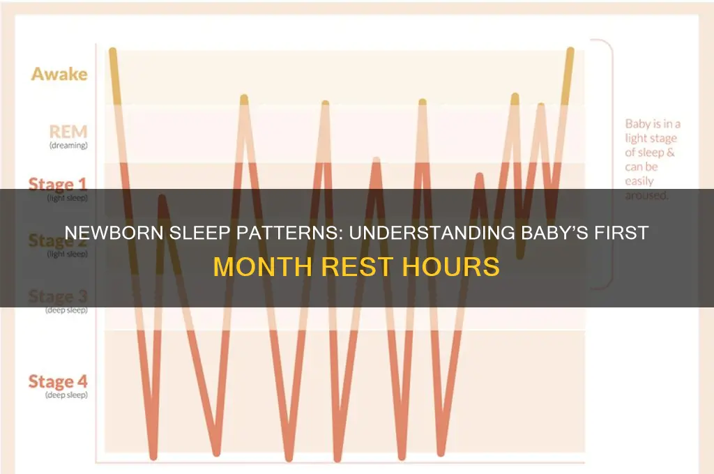 how many hours baby sleep in first month