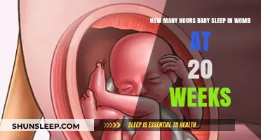 Understanding Your Baby’s Sleep Patterns in the Womb at 20 Weeks