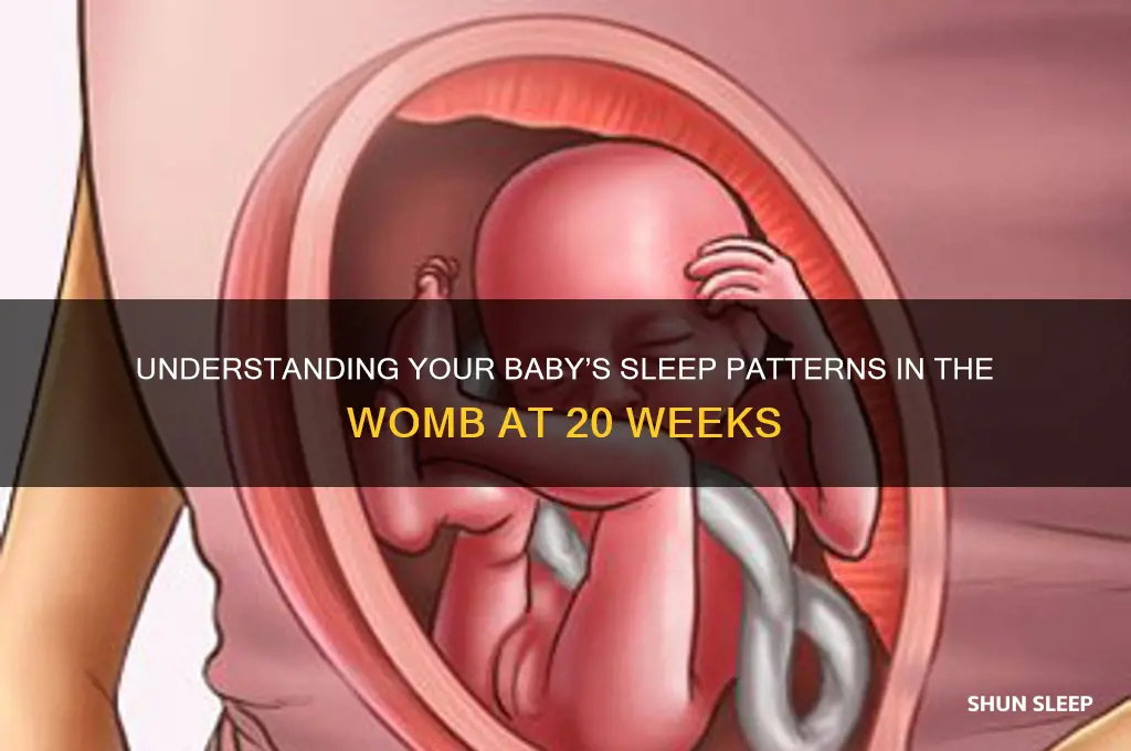 how many hours baby sleep in womb at 20 weeks