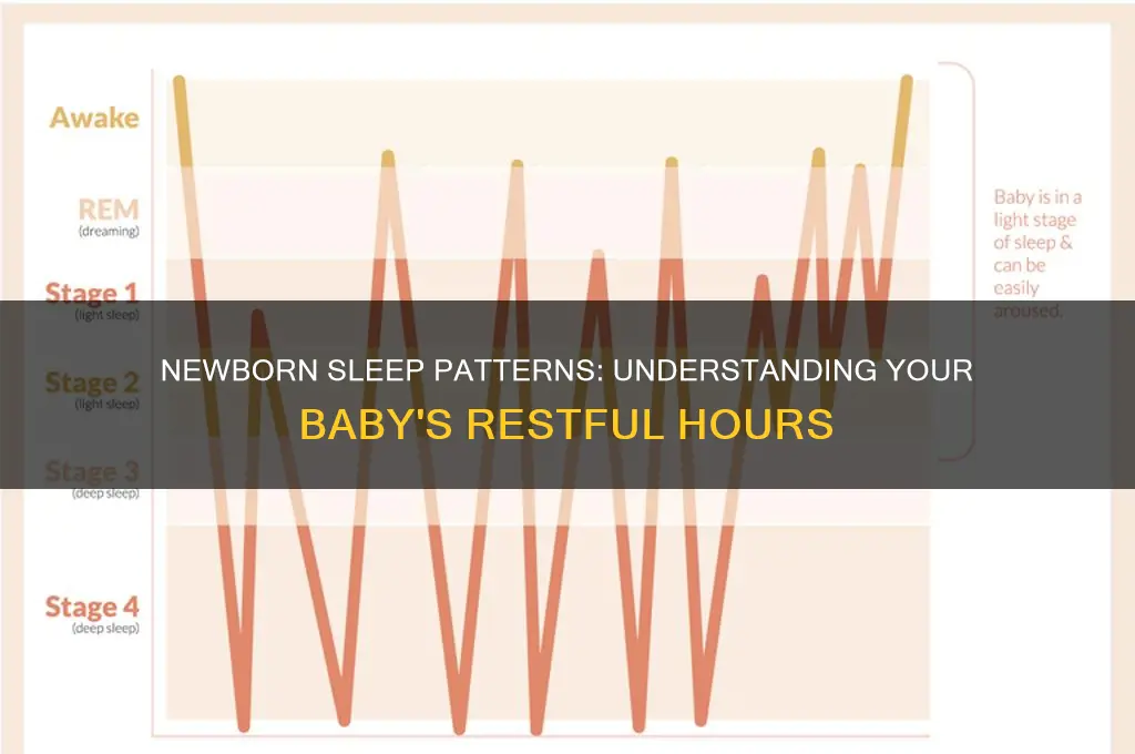 how many hours baby sleep newborn