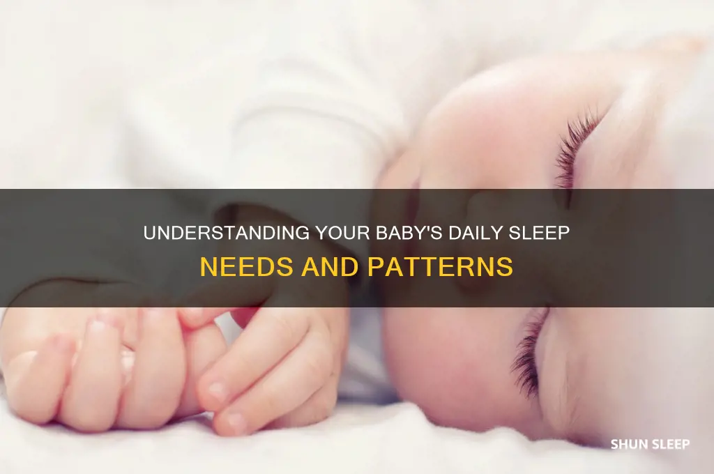 how many hours baby sleep over the day