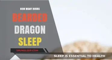 Understanding Bearded Dragon Sleep Patterns: How Many Hours Do They Rest?