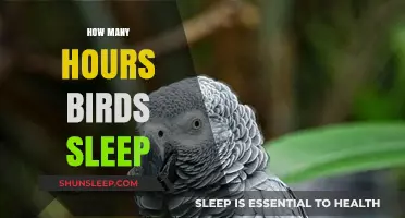 Unveiling the Surprising Sleep Patterns of Birds: Hours and Habits