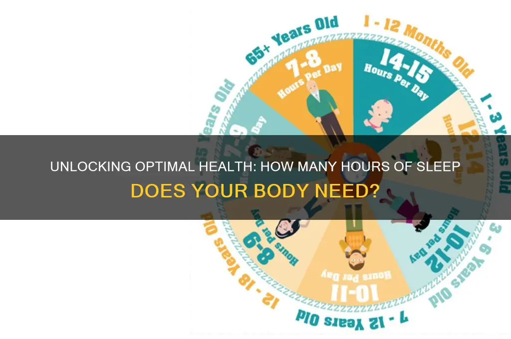 how many hours body needs sleep
