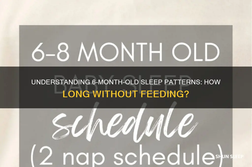 how many hours can 6 month old sleep without eating