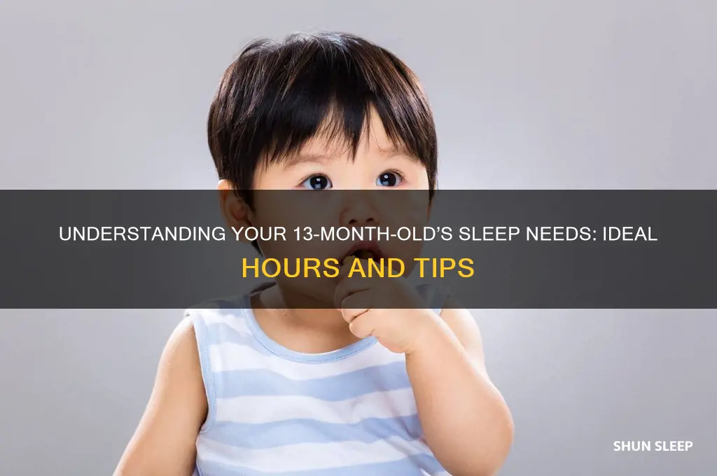 how many hours can a 13 month old sleep for