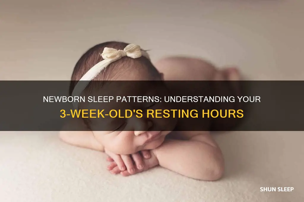 how many hours can a 3 week old sleep