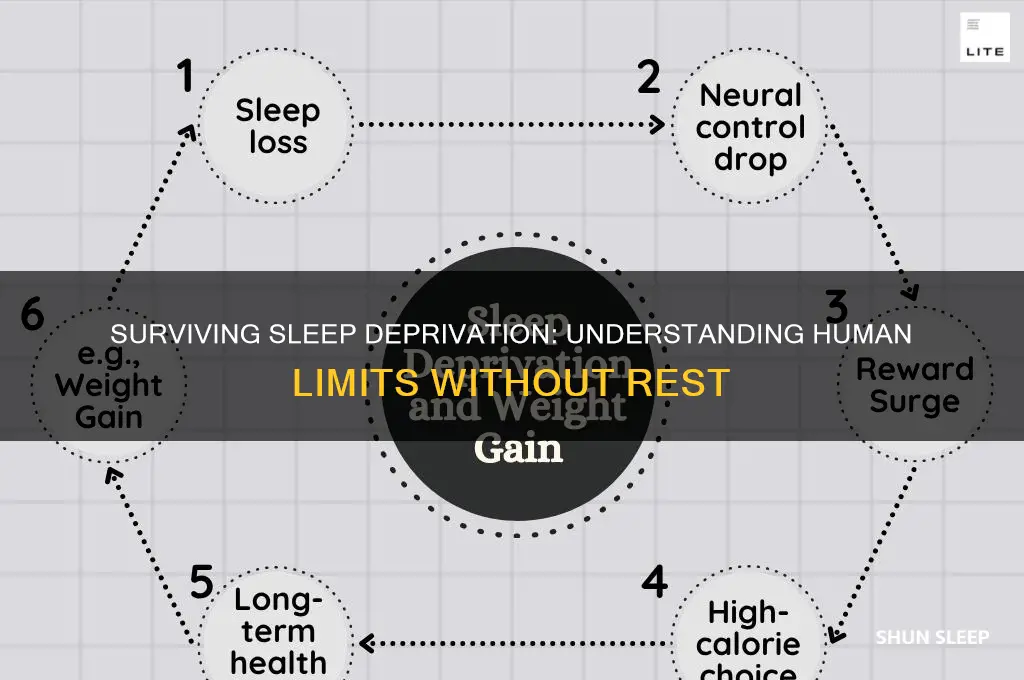 how many hours can a human function without sleep