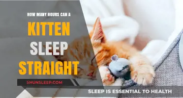 Understanding Kitten Sleep Patterns: How Long Can They Nap Uninterrupted?